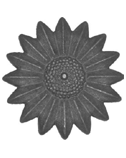 decorative wrought iron