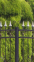 iron gates and railings